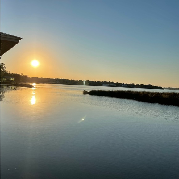 Meet your Posher, Grace - Picture 2 of 2